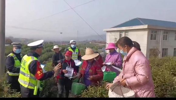采茶旺季！广水交警进茶园面对面为茶农讲安全