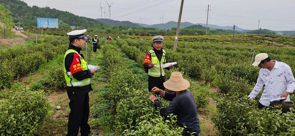 采茶旺季！广水交警进茶园面对面为茶农讲安全